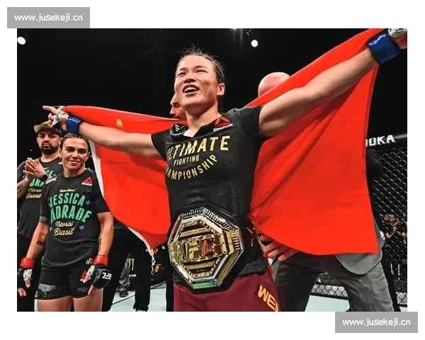 从经典到巅峰全景解析mma比赛视频的力量与技巧演变与激情瞬间回顾